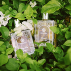 AROMATIC ROOM & BODY MIST