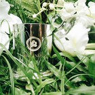 PURE AROMA MASSAGE CANDLE SIZE L (600ML)